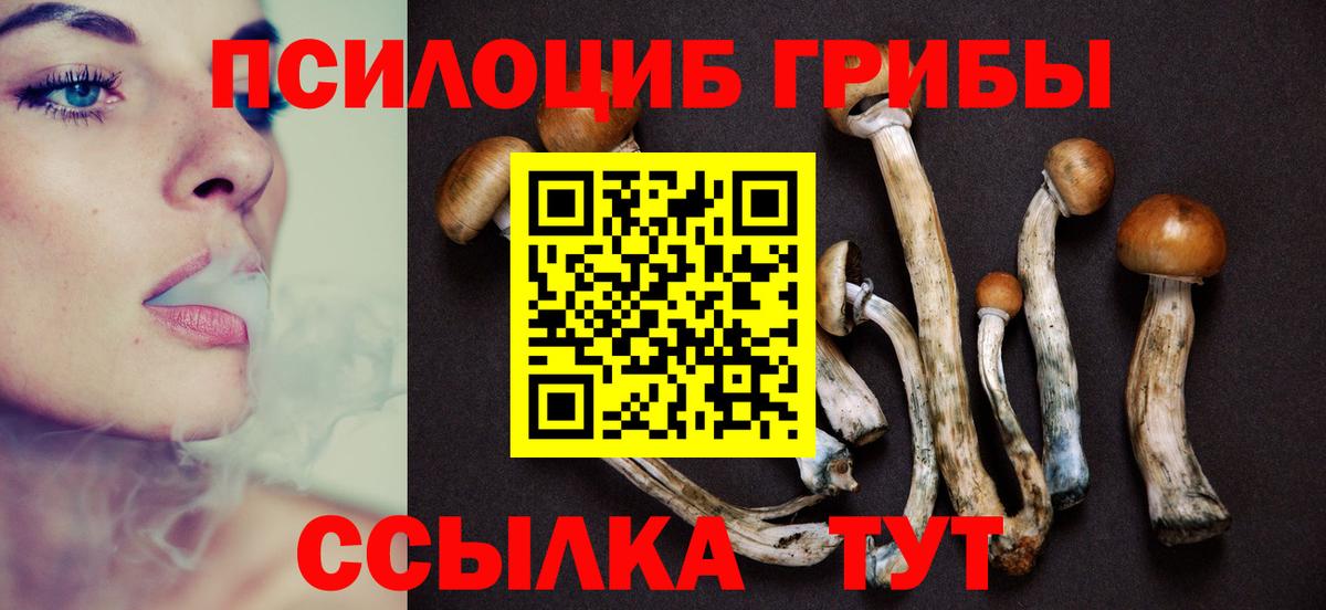 Псилоцибиновые грибы Psilocybe  Галлюциногенные грибы Psilocybe  Вход с VPN  Тверь 