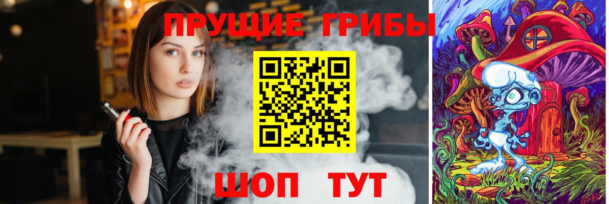 Псилоцибиновые грибы Cubensis Тверь