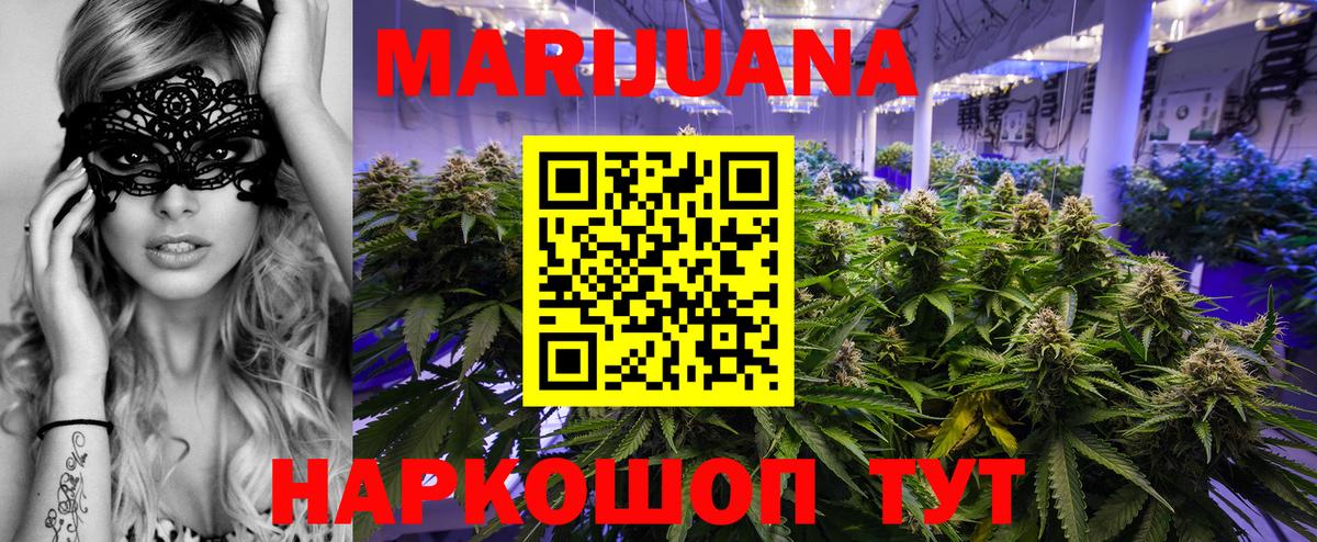 Канабис планчик Тверь